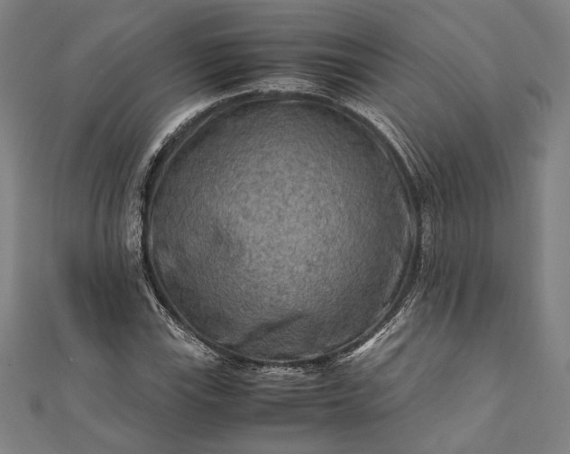 X0000112171115200908211420