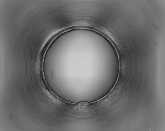 X0000112171116200908211420