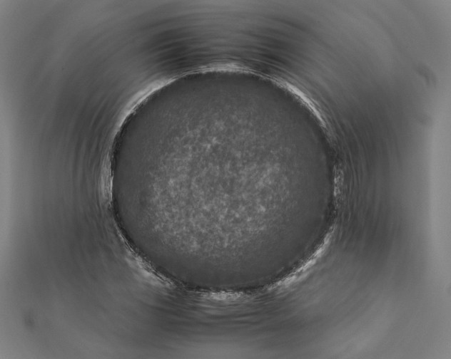 X0000112171117200908211420