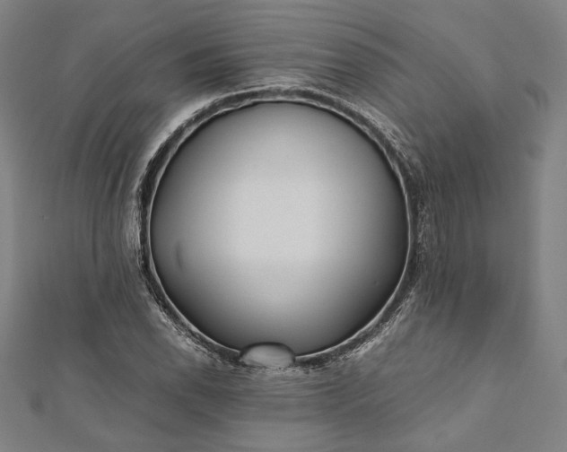 X0000112171118200908211420