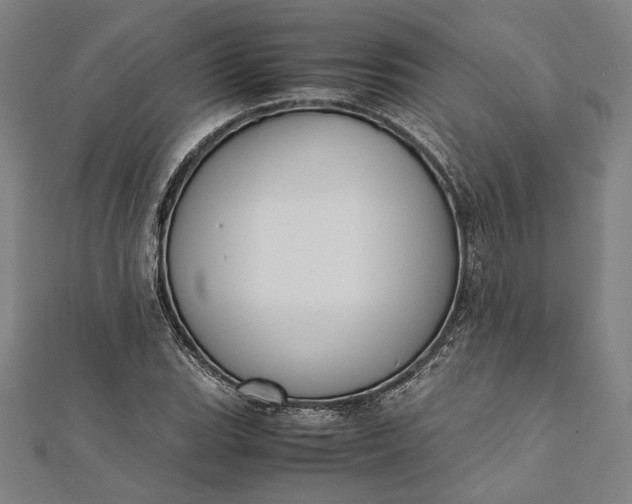 X0000112171119200908211420