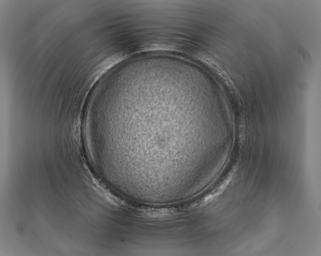 X0000112171121200908211420