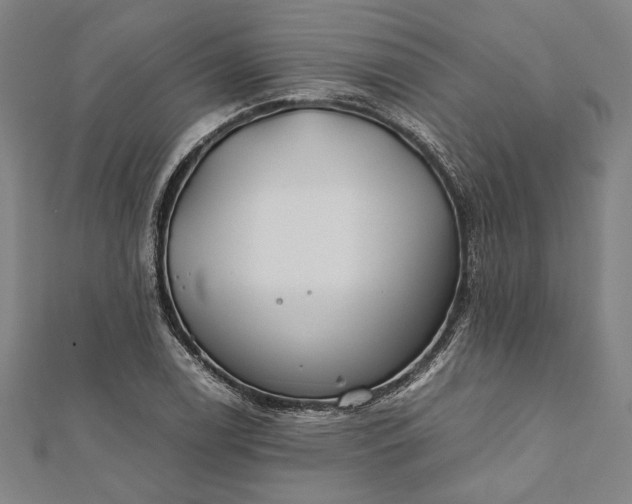 X0000112171122200908211420