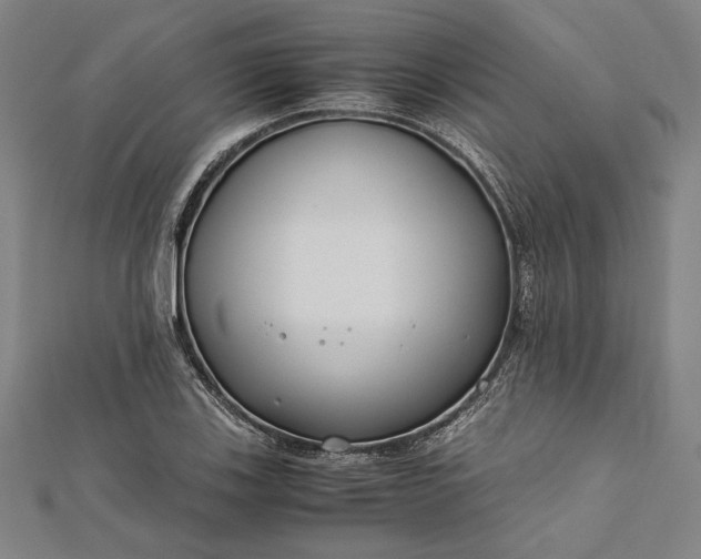 X0000112171123200908211420