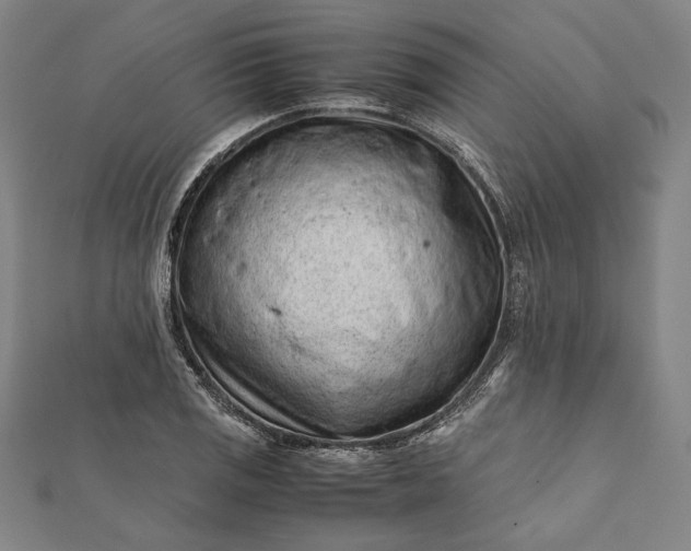 X0000112171125200908211420