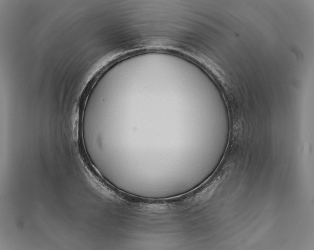 X0000112171126200908211420