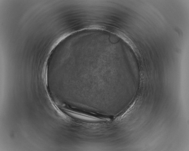 X0000112171127200908211420