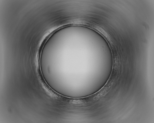 X0000112171128200908211420