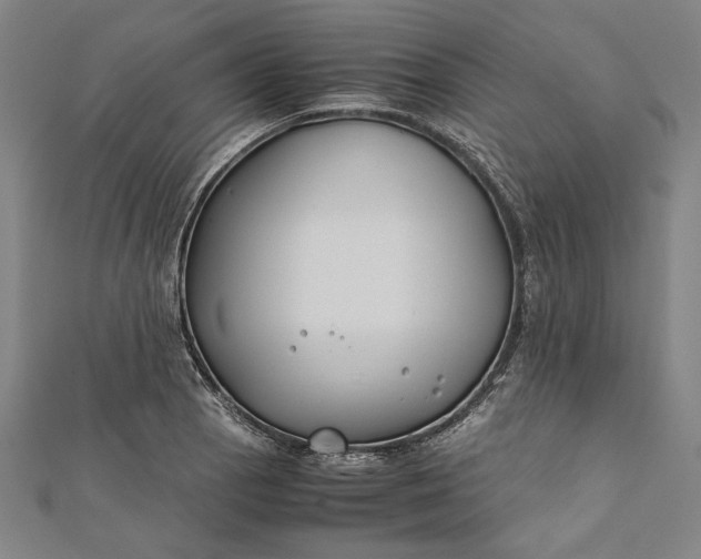 X0000112171129200908211420