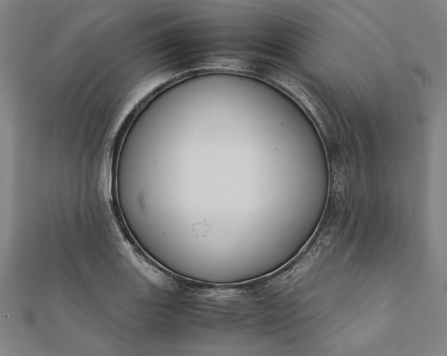 X0000112171131200908211420