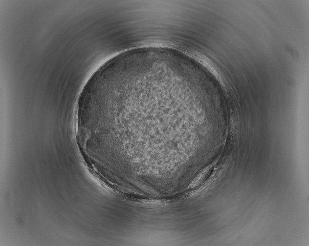 X0000112171132200908211420