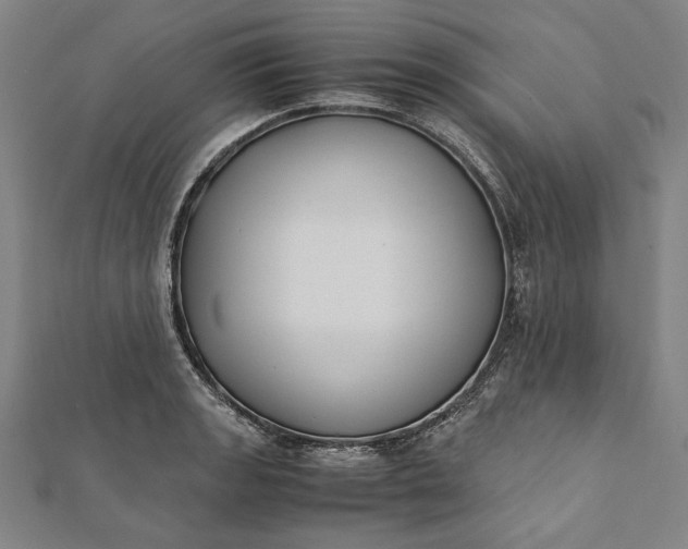 X0000112171133200908211420