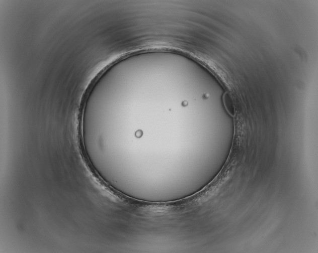 X0000112171134200908211420