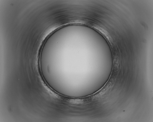 X0000112171135200908211420