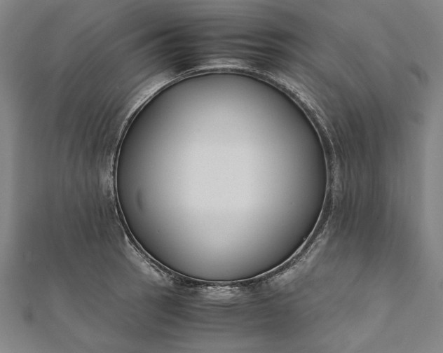 X0000112171137200908211420