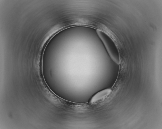 X0000112171138200908211420