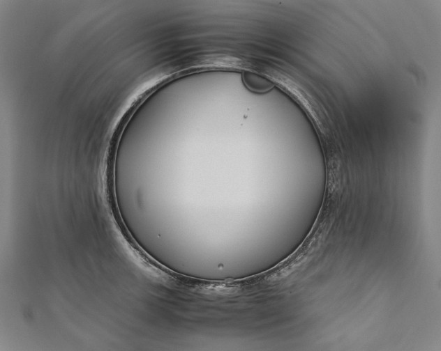 X0000112171139200908211420