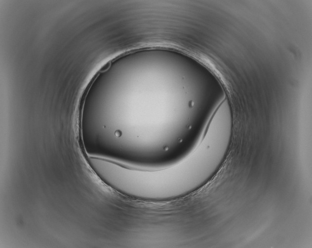 X0000112171140200908211420