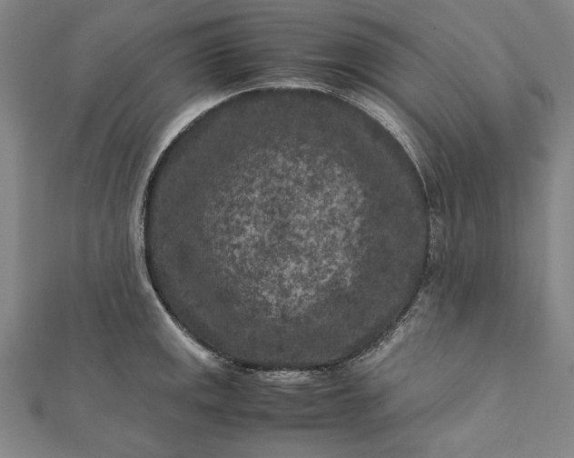 X0000112171141200908211420