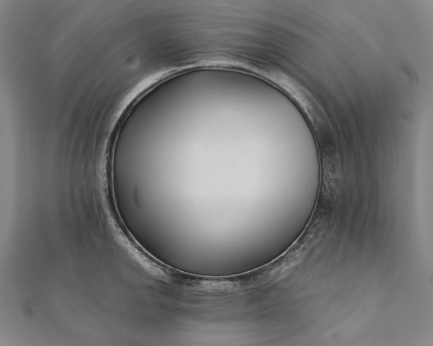 X0000112171142200908211420