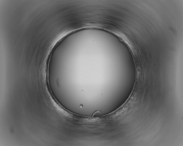 X0000112171143200908211420