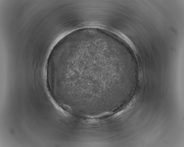 X0000112171144200908211420