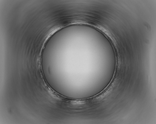 X0000112171145200908211420