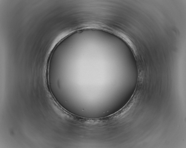 X0000112171146200908211420