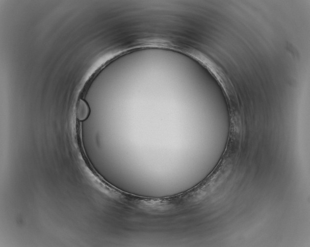 X0000112171147200908211420