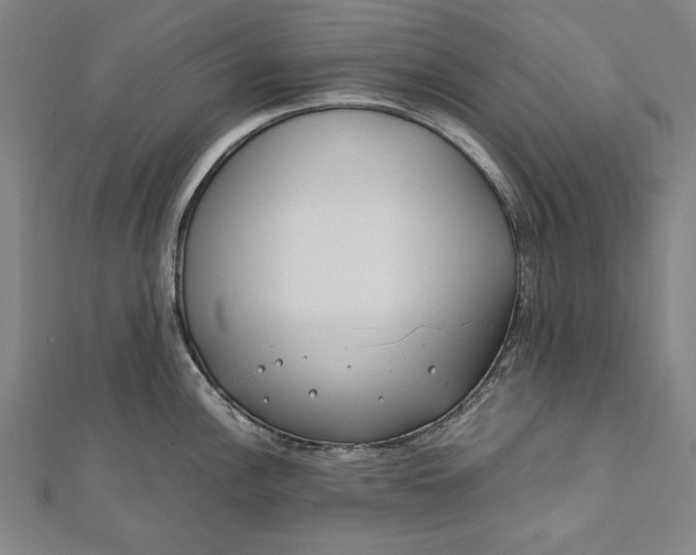 X0000112171148200908211420