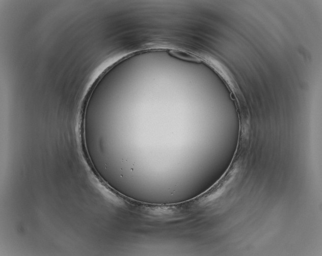 X0000112171149200908211420