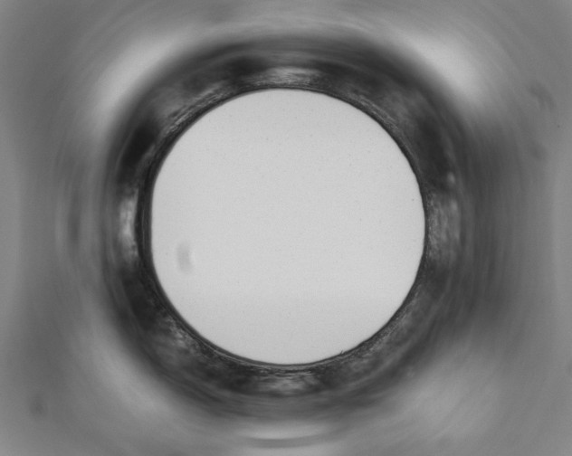 X0000112171150200908211420