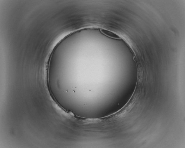 X0000112171151200908211420