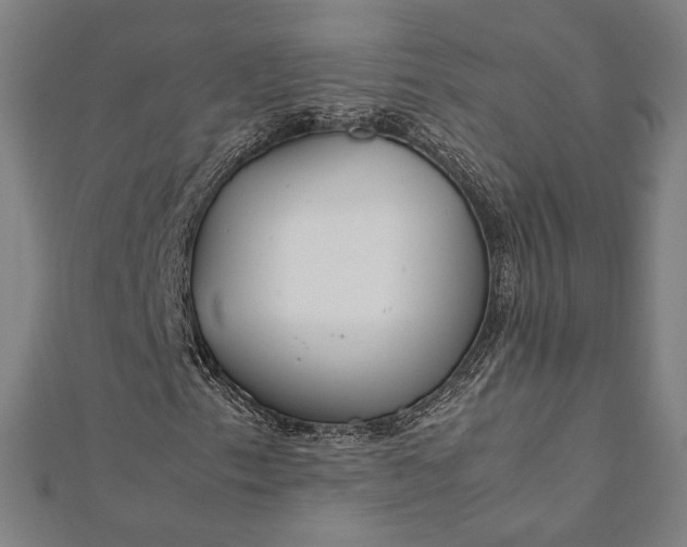 X0000112171153200908211420