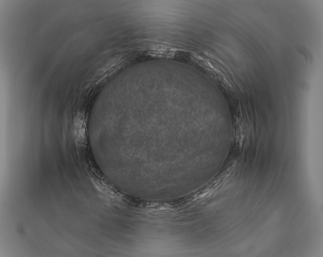 X0000112171154200908211420