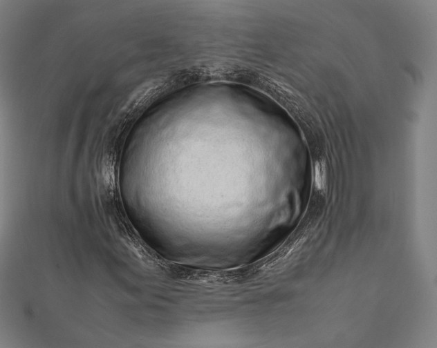 X0000112171155200908211420