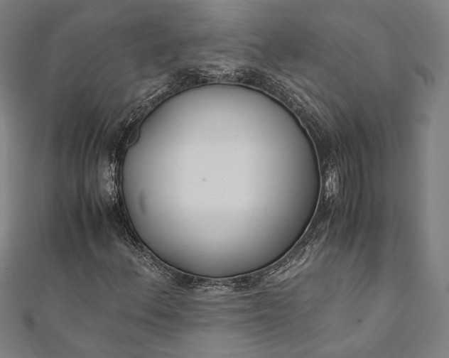 X0000112171156200908211420