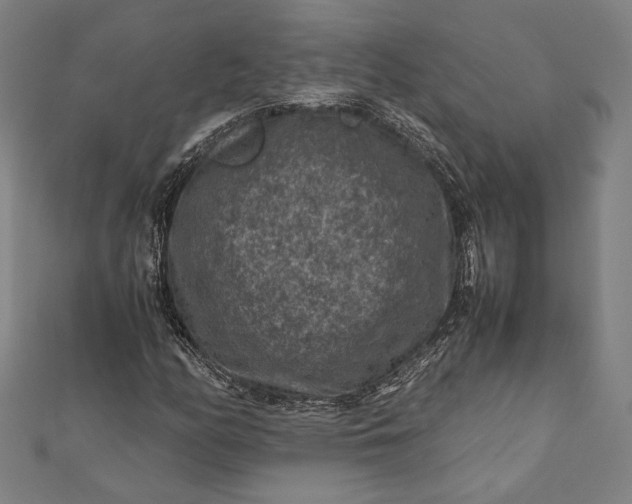 X0000112171158200908211420