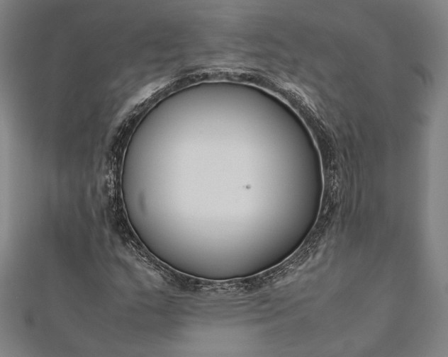 X0000112171159200908211420