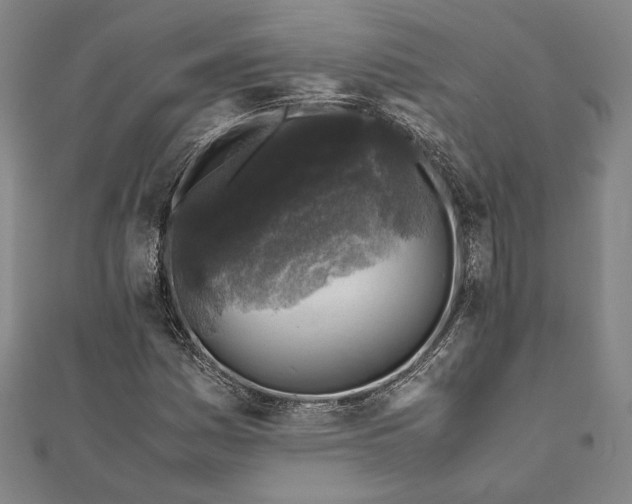 X0000112171161200908211419