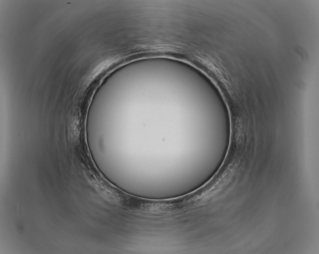 X0000112171163200908211419