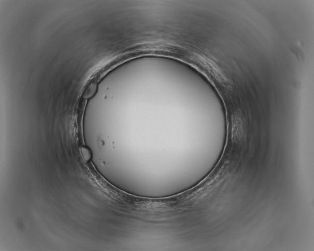 X0000112171164200908211419