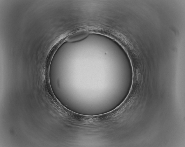 X0000112171165200908211419