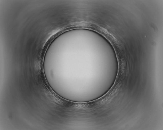 X0000112171166200908211419