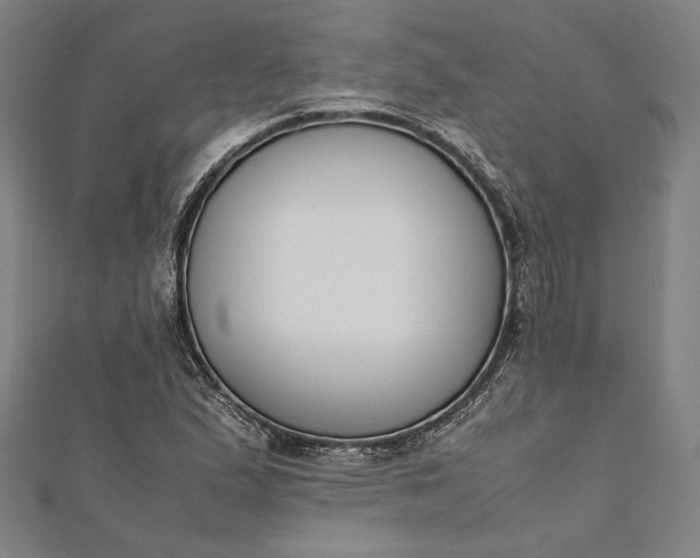 X0000112171167200908211419