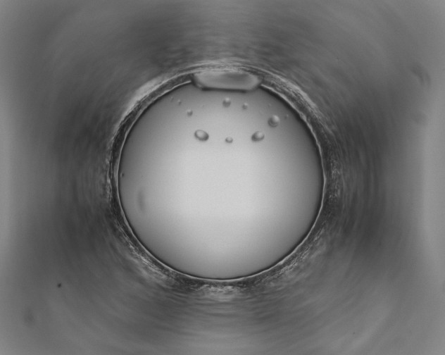 X0000112171168200908211419