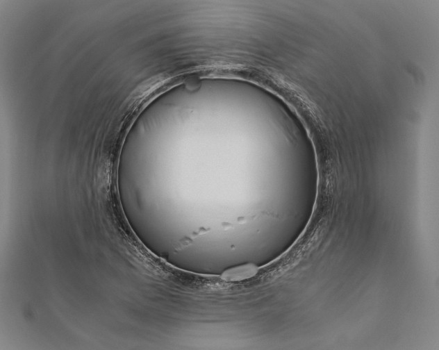 X0000112171169200908211419