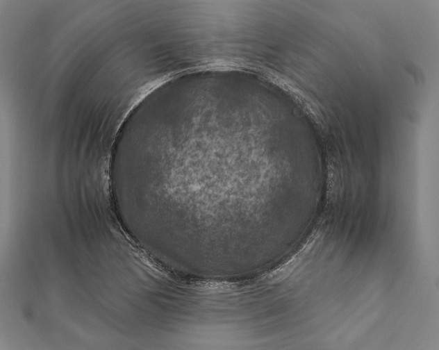 X0000112171170200908211419