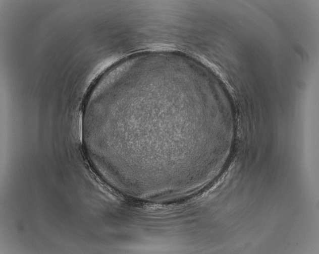 X0000112171171200908211419