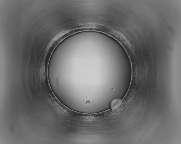 X0000112171172200908211419